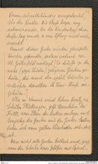 Seite 23, Tagebuch "Groß-Weikersdorf | Wetzdorf (hinten!), Tulln, Kiblitz" (NHMW-PRAE-BBB-32)